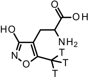 [H-3] AMPA