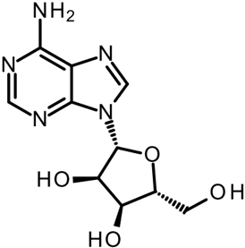 [H-3] Adenosine