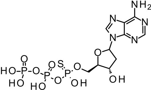 [H-3] 2'-Dexoyadenosine 5'-(alpha-thio) Triphosphate