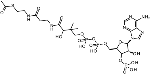 [H-3] Acetyl Coenzyme A
