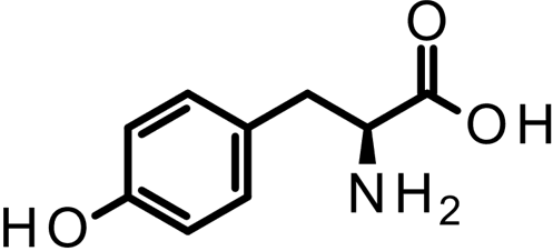 [H-3] L-Tyrosine