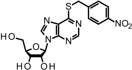 [H-3] Nitrobenzylthioinosine