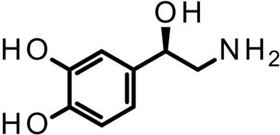 [H-3] Norepinephrine