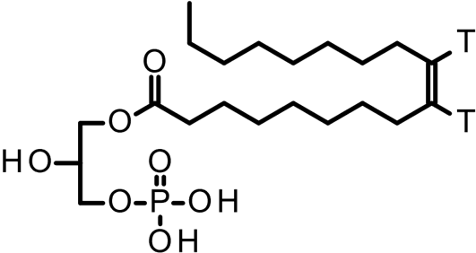 [H-3] Lysophosphatidic acid, L-alpha-1-oleoyl