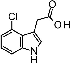 [H-3] 4-Chloroindole-3-acetic acid