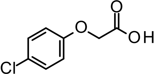[H-3] 4-Chlorophenoxyacetic acid