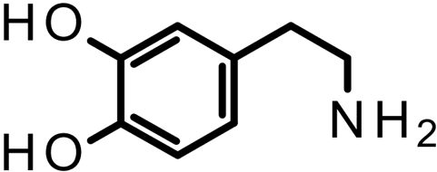 [H-3] Dopamine